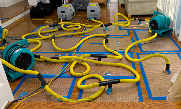Professional Storm Water Damage Restoration technician working in Fredonia, PA